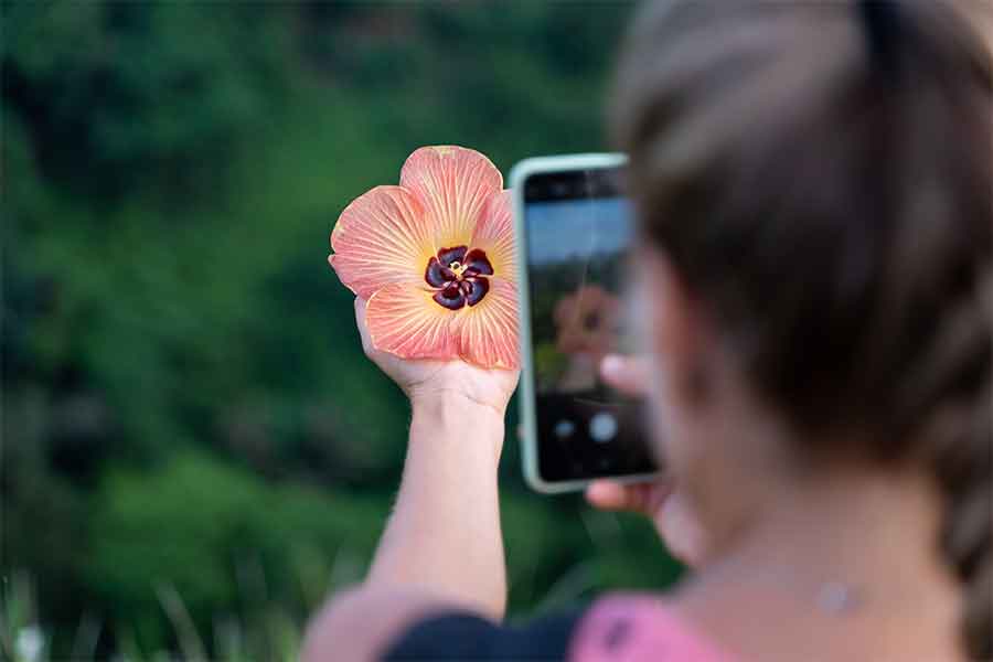 Foto Gemaakt Smartphone