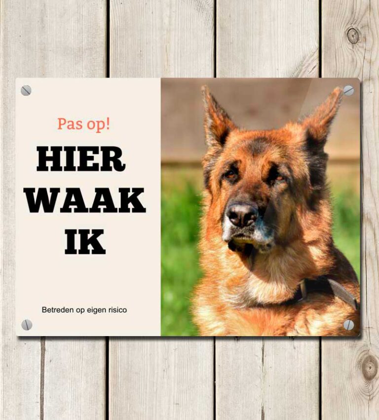 Metalen Hond - De Bordercollie - Wanddecoratie van metaal | bol