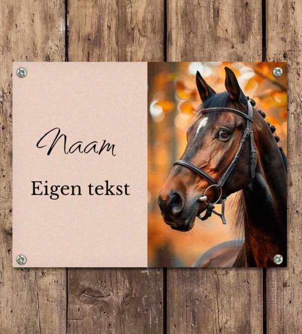 Paarden Naambordje Ontwerpen Online