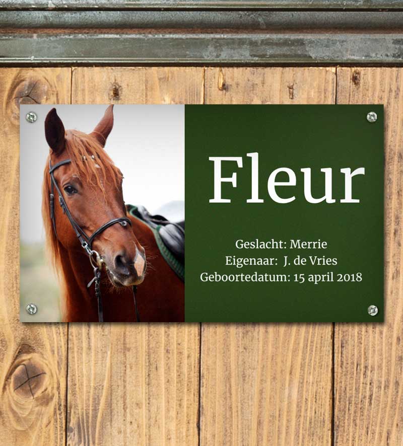 Paarden Stal Bord Met Foto