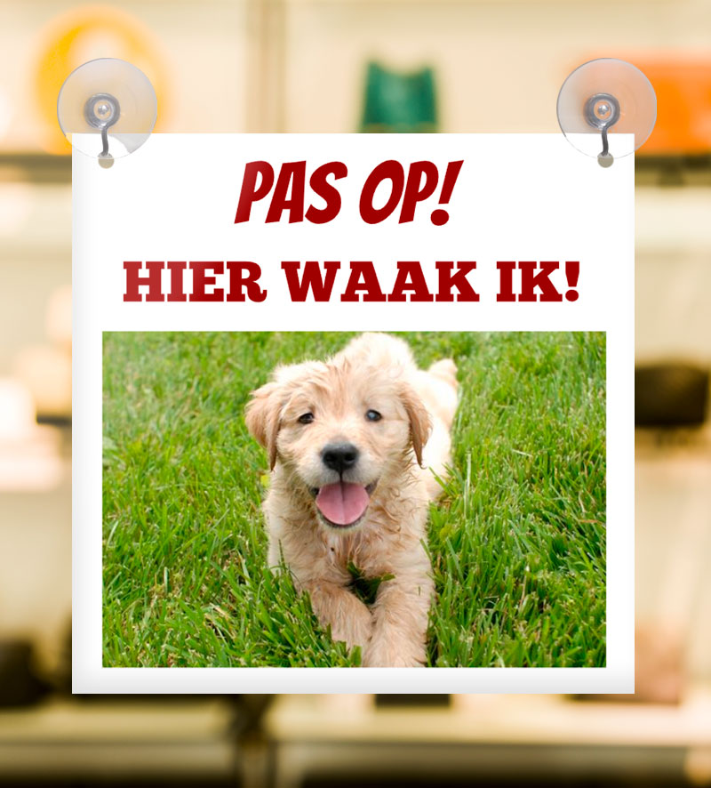 Waakbordje Raam Zuignappen
