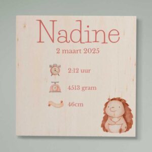 Geboortebord Meisje Hout Ontwerpen
