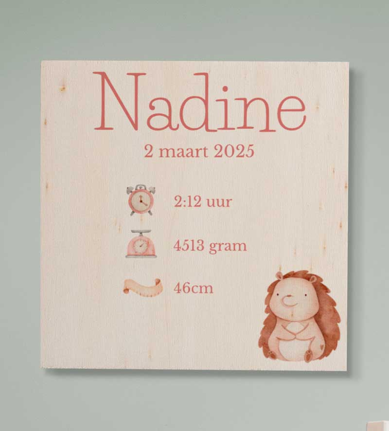 Geboortebord Meisje Hout Ontwerpen