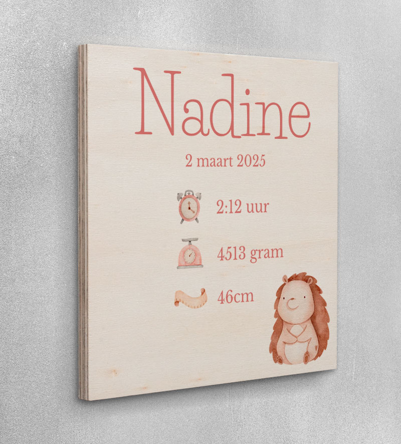 Geboortebord Meisje Hout