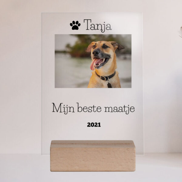 Hond Gedenkteken Plexiglas