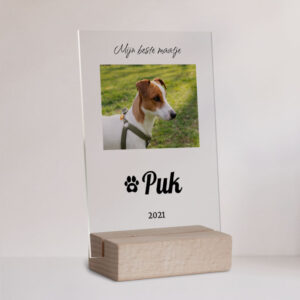 Huisdier Gedenkteken Houder Plexiglas