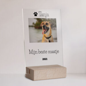 Huisdier Hond Gedenkteken Personaliseren Plexiglas