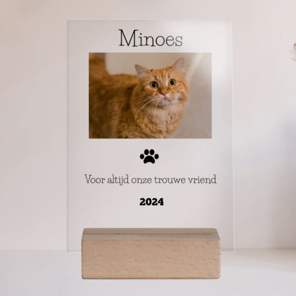 Poes Gedenkteken Overlijden Plexiglas