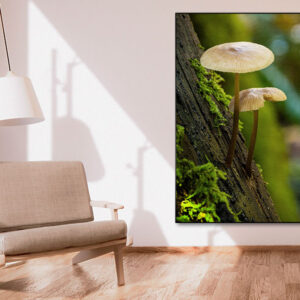 Akoestisch Fotopaneel Wand|Dubbele laag akoestiek|2-laags akoestisch waarde|Akoestiek Fotopaneel Doorsnee