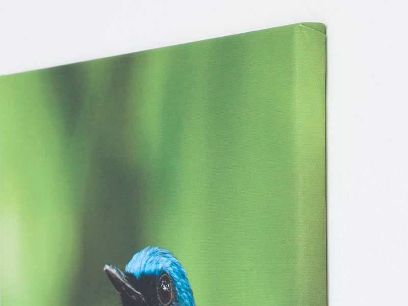 Foto op Canvas - Afbeelding 3