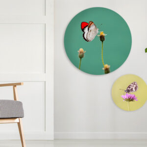 Foto Op Rond Hout|Muurcirkel Hout|Foto Afdrukken Op Rond Populieren Hout|Foto Op Rond Populieren Hout|Zijkant Fotopaneel Rond Hout Populieren|Foto Op Rond Hout Populieren|Foto Op Rond Hout Afdrukken|Foto Hout Rond Detail Rand|Foto Op Hout Glans Voorzijde|Foto Op Rond Hout|Foto Op Rond Hout Zijkant|Foto Op Rond Hout Ophangsysteem Populierenhout