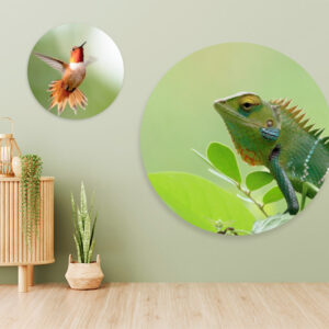 Foto Rond Aluminium Dibond|Foto Op Dibond Aluminium Rond Ingezoomd Rand|Rond Dibond Paneel Zijkant Met Foto