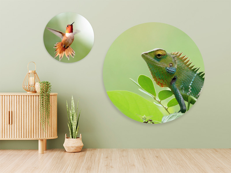 Foto Rond Aluminium Dibond|Foto Op Dibond Aluminium Rond Ingezoomd Rand|Rond Dibond Paneel Zijkant Met Foto