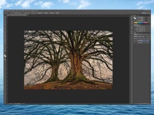 Aanleveren Foto Grrot Formaat|Foto Groot Formaat Afdrukken|Controleren Foto Groot Formaat Vlekjes
