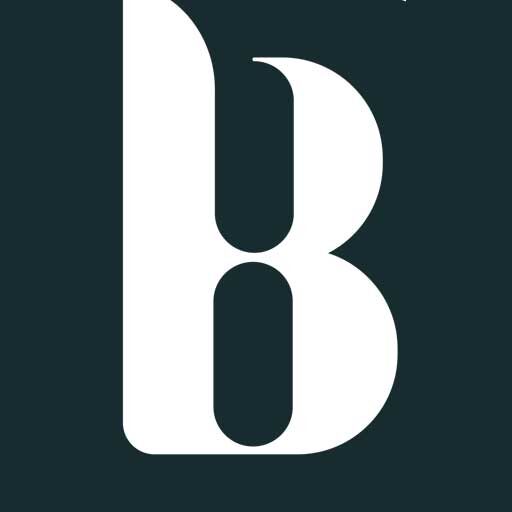 Brinsio logo