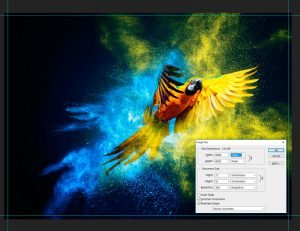 Foto Aanlveren Specificaties Photoshop Aluminium Resolutie|Eizo Kleurmanagement Foto Afdrukken|Resolutie Opvragen Foto Desktop|Bleeding Foto Afdrukken