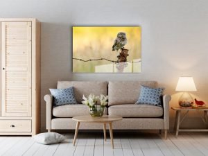 Foto Op Aluminium Afdrukken Rechthoek|Portret Foto Haarscherp Afdrukken 1024x768 1