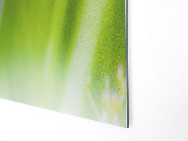 Foto Op Aluminium Dibond Detail Zijkant