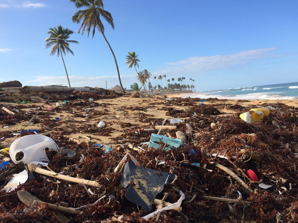 Aangespoeld plastic afval van flessen op het strand