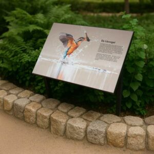 Hoge Kwaliteit Informatiebord Duurzaam