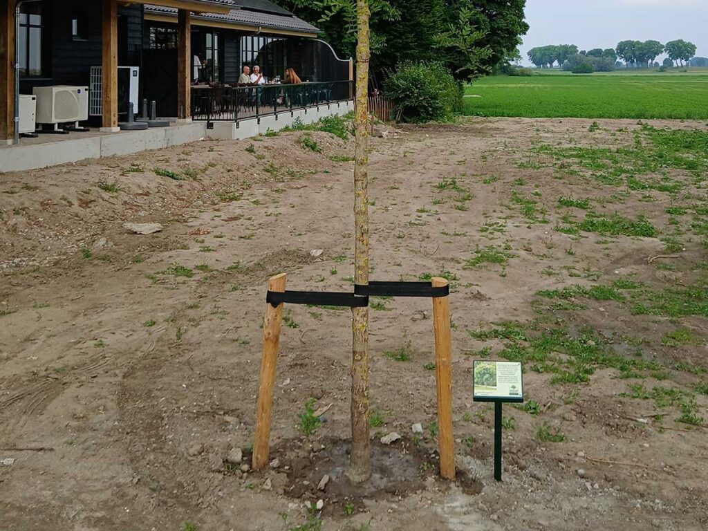 Grondpaal Met Informatiebord Bij Boom